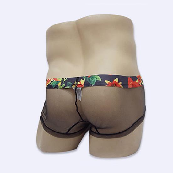 Men's Fashion Sexy See-through Underpants U Convex Thin Mesh Briefs Underwear