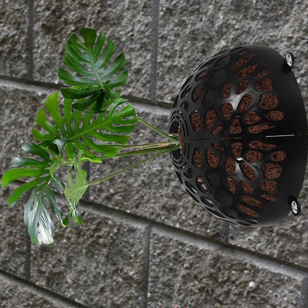 Hollowed Planting Cover Plastic Aquatic Plant Suspension Ball For Fern Phalaenopsis