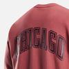 Jordan X NBA Collaboration Chicago Bulls Logo Fleece Crewneck Fashion Pullover Long Sleeve Sweatshirt Men sweatshirt Canyon-Rust FV8344-691
