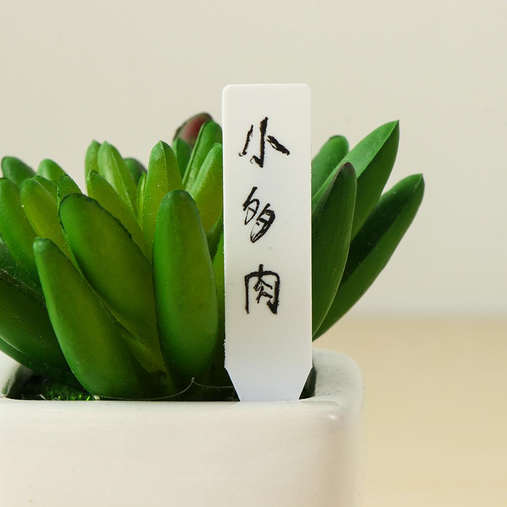Reusable Seeds Waterproof Classification Marker Seedling Tags Plants Label Nursery Pot Garden Tools