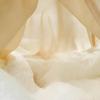 Fuanna Dream Rhythm Antibacterial Tussah Silk 2-in-1 Quilt