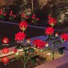5 Köpfe Solarleuchten im Freien Dekorative Solar-Gartenleuchten Rosenblumen-Rasenlampe für Hofterrasse Gartendekor