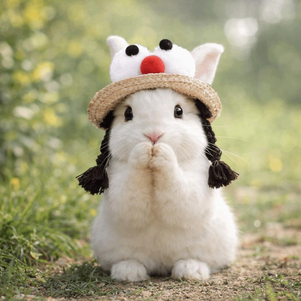 Adjustable Fisherman Hat Elastic Strap Decorative Rabbit Cap Funny Small Pets Hat  Photo Props