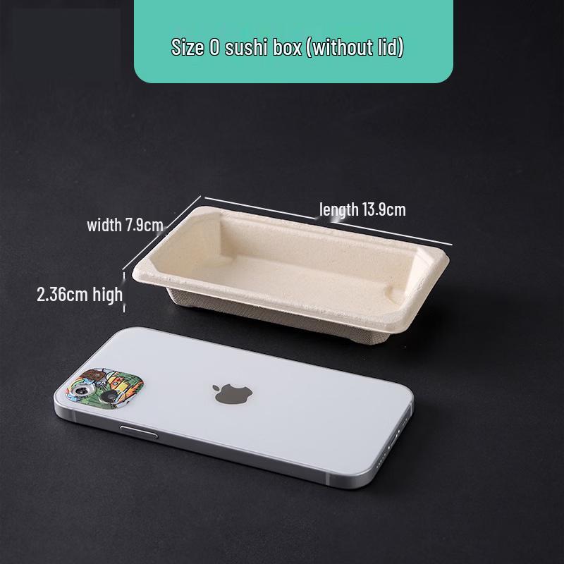 Disposable Japanese Sushi & Sashimi Takeout Trays