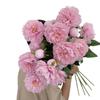 2 Heads Peony Artificial Flower Peony Silk Plastic Multicolor Simulation Plants Greenery Leaves Floral Arrangement