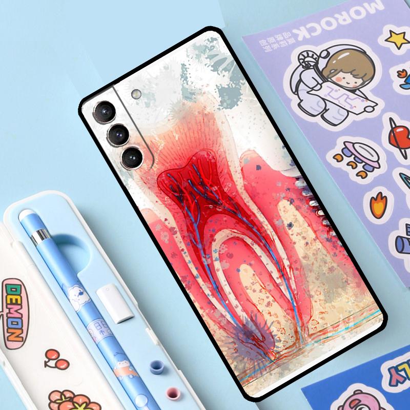 Human Tooth Anatomy Case For Samsung Galaxy S23 S21 S22 Ultra Plus Note 10 20 S8 S9 S10 Plus S20 FE Cover Case