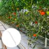 Haken Pflanzenhaken Klemmen Pflanzen Gurken Garten Gartengeräte 10 Stück Gewächshaus Pflanzenhaken Pflanzenstützen Pflanzenbinder