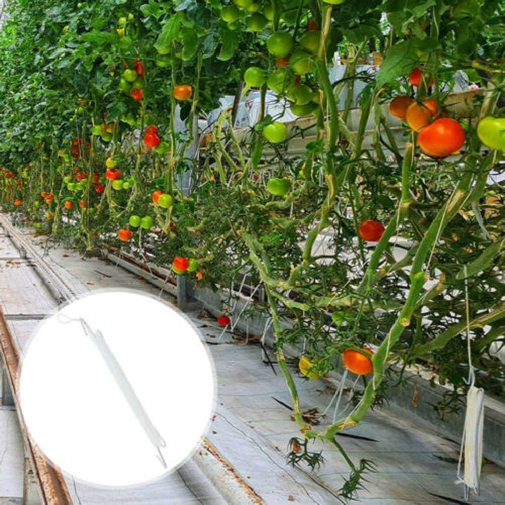 

Hook Plant Hooks Clamps Planting Cucumbers Garden Garden Tools 10pcs Greenhouse Plant Hooks Plant Supports Plant Ties China Mainland