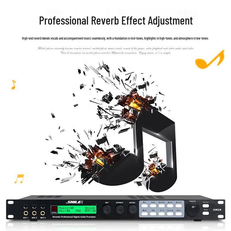 SHILE Tianqin No. 5 Digital Effects Processor