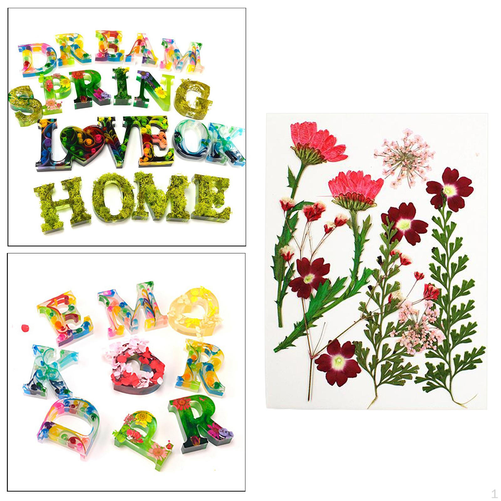 13 Dried Flowers for Resin Jewelry Making Tool Red