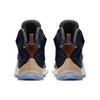 Nike LeBron 13 Ext Luxbron 823300-941