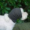 No Flap Ear Wrap Anxiety Relief Hair Protection for Long-Haired Dogs Calming Dog