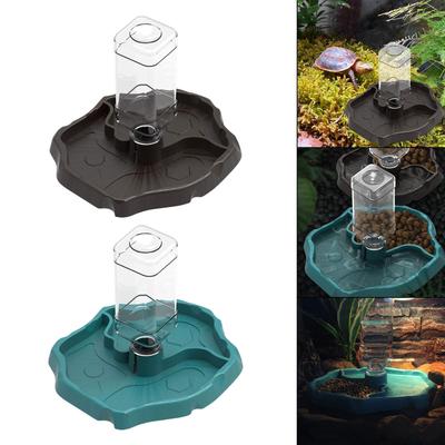 Reptilien – Reptilien-Terrarien