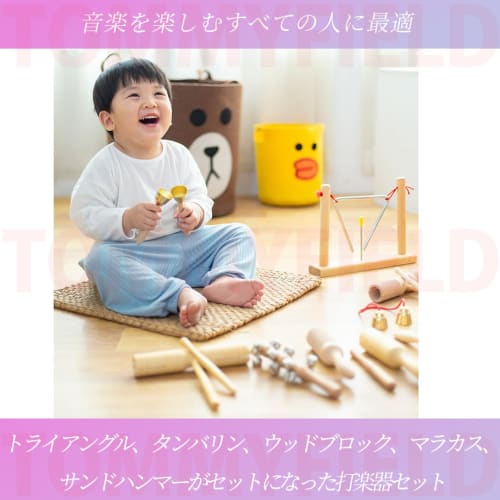 TOMMYFIELD Triangle Tambourine Percussion Wood Block for Performance and Maracas Music Practice (Musical Instrument)