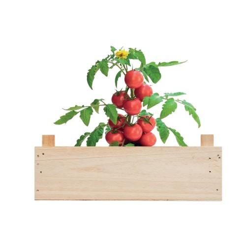 MidOcean Tomato Wooden Kit Seeds