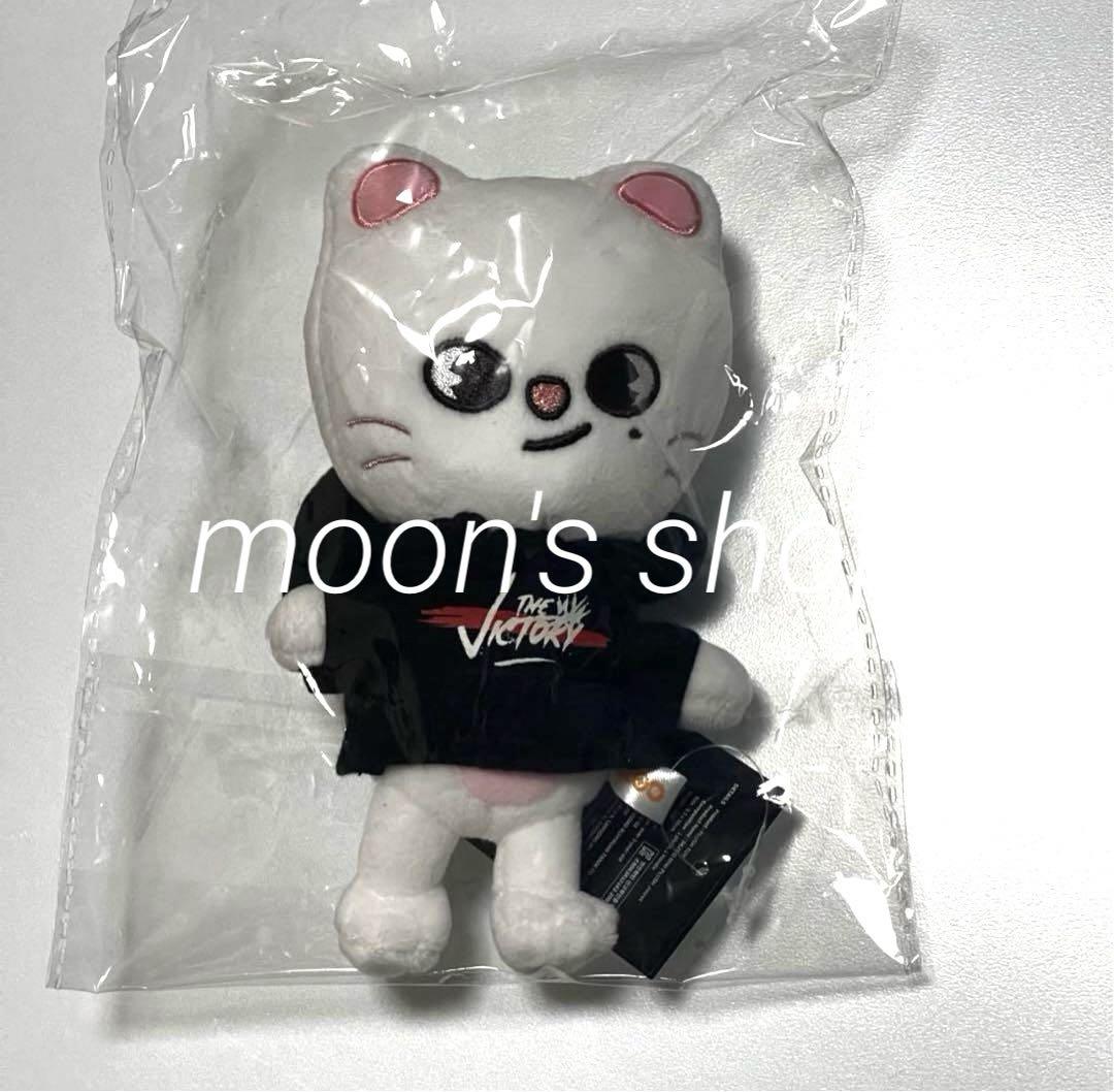 

[USED] Final Price Reduction SKZ Hyunjin Genielet Mini Plush Toy