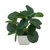 Artificial Potted Watermelon Leaf Plant Faux Decorative Leaf For Living Room Highly Realistic Foliage For Home Furnishings Money Plant