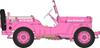 Hasegawa Wild Egg Girls Ton 4x4 Truck Amy McDonnell Plastic Model Kit SP356 1/24 No.1 1/4 w/Figure