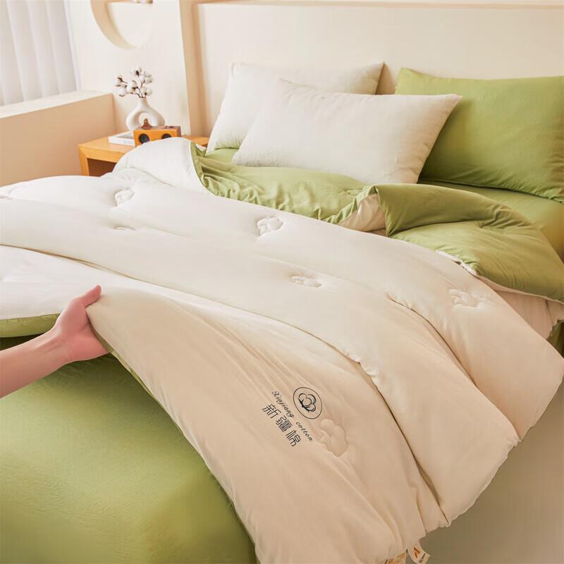 Huang Qin Shi Jia Pure Xinjiang Cotton Duvet