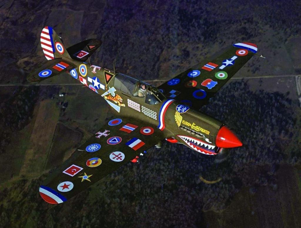 Eduard Scale Limited Edition Warhawk Commemorative Paint Plastic Model Kit EDU11193 1/48 P-40N 15,000th (Airplane)