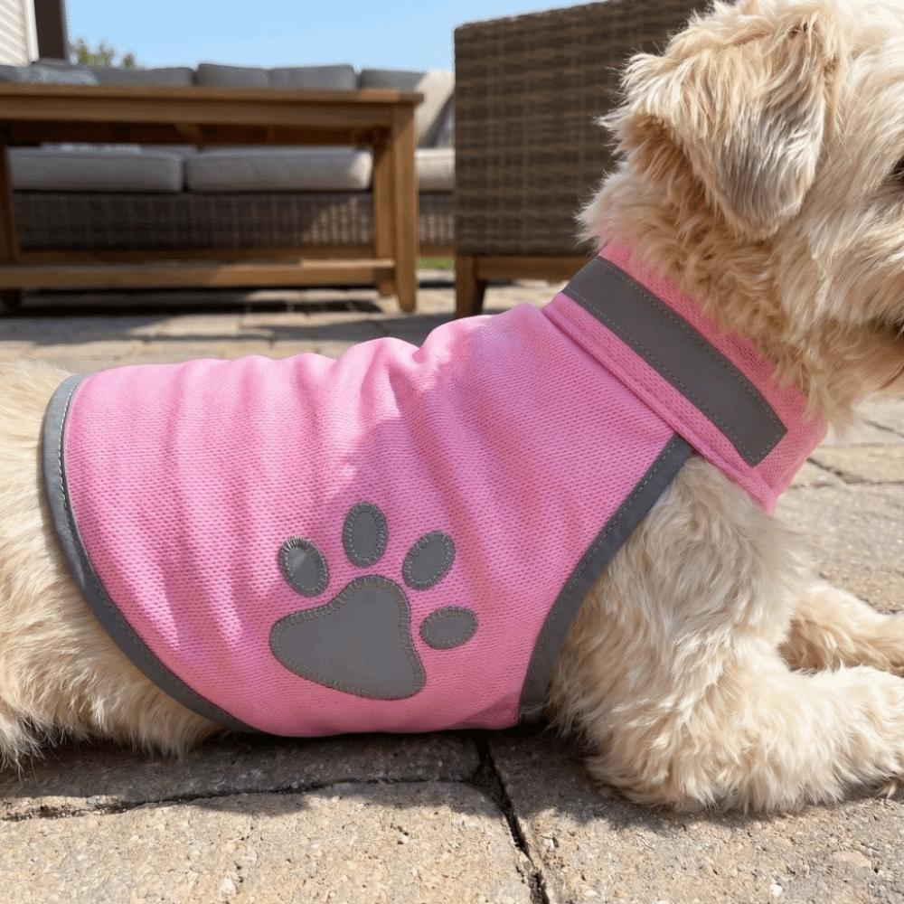 Giacca Visibilità Regolabile per Cuccioli, Abbigliamento Fluorescente Riflettente per Animali Domestici per Passeggiate Notturne