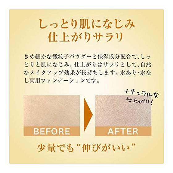 Powder Foundation AC2 952 Ocher Refill 13g (Foundation Refill 2WAY) [Octard]