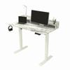 Whole Piece Electric Standing Desk- Height Adjustable Stand up Desk, Sit to Stand Desk with Wheels for Home Office & Computer Wo