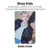 Stray Kids x SKZOO POP-UP STORE 'THE VICTORY' RANDOM PHOTOCARD PACK Official Photocard