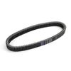 Drive Belt for Tomcar TM2 1000 2013-2015 TM4 1000 2013-2015 TM5 1000 2013-2015
