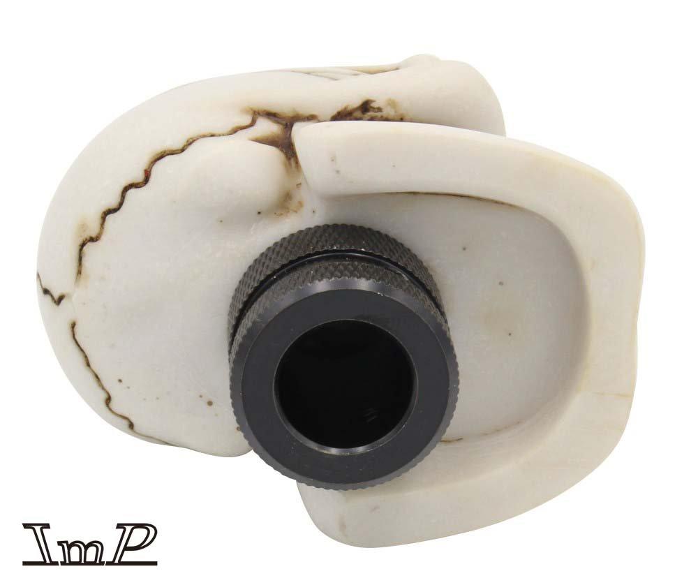 Funky Shift Knob Skull Bone Color