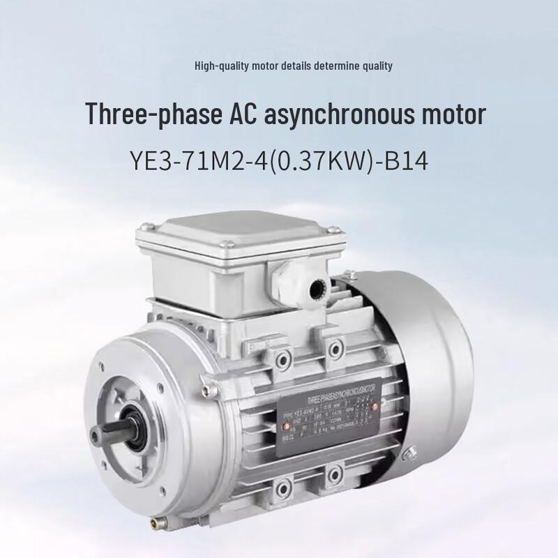 Magnian YE3 Series Three-Phase AC Asynchronous Motor