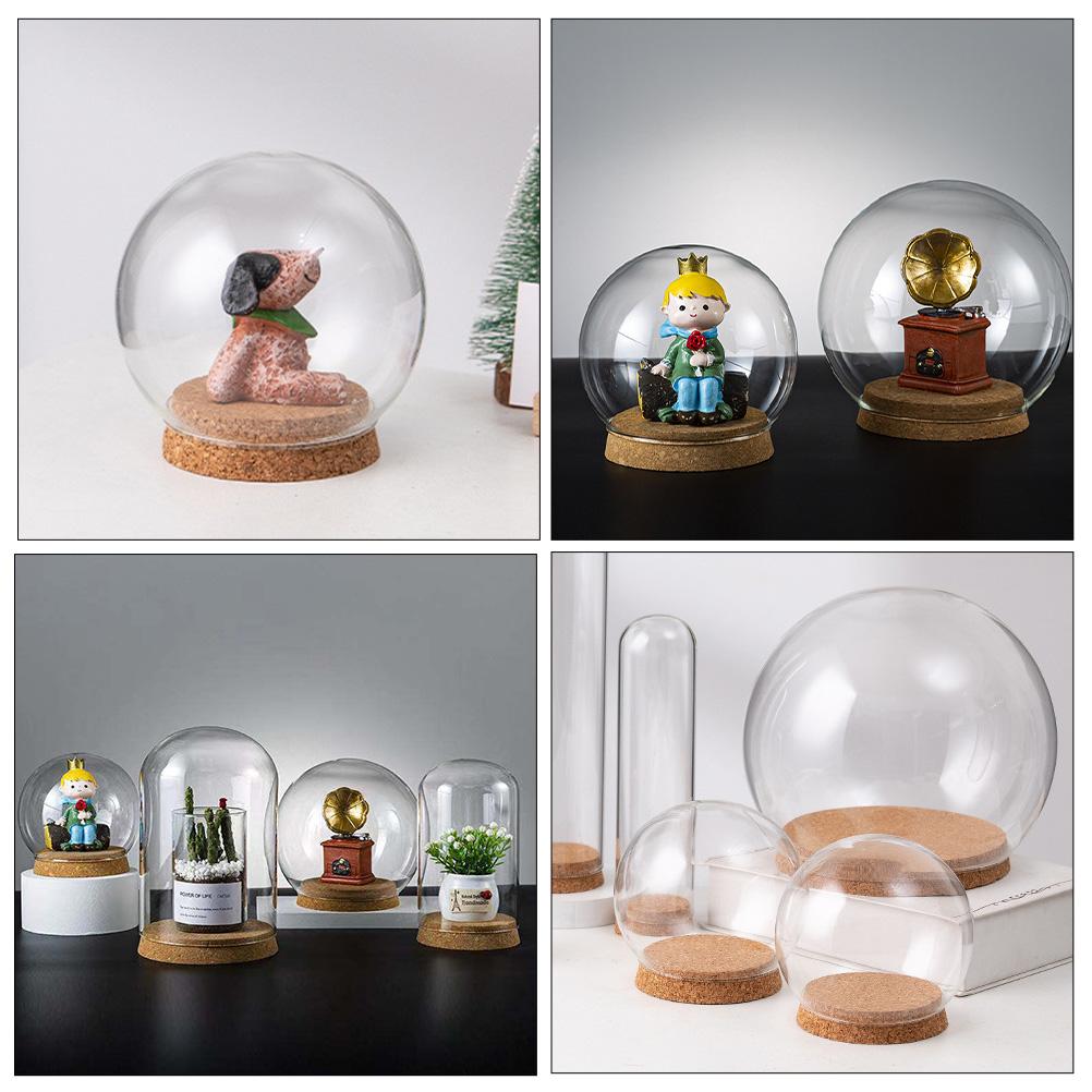 5 Pcs Preserved Flower Adornment Immortal Glass Hood Container Dome with Base Child Empty Water Globe Vase