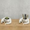3D Printed Dragon Shaped Plant Pot Creative Animals Flower Pot Succulent Planter  for Yard Garden