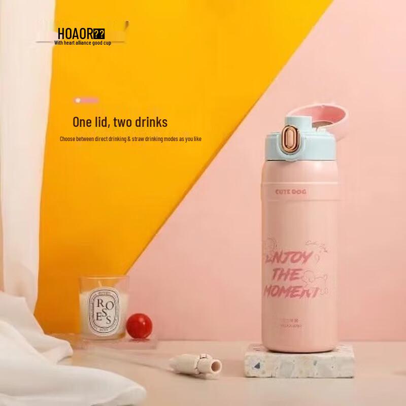 HOAOR Stainless Steel Insulated Pop-up Straw Cup