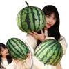 Kawaii Wassermelonen Plüschtier Kissen Lebensecht Ovale Form Weiches Spielzeug für Heimdekoration Lustiges Kuschelgeschenk für Jungen & Mädchen