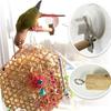 Wood Suction Cup Bird Stand Safe Teeth Grinder Bird Toy Bracket Bird Bath Perch Stand  Sun Birds