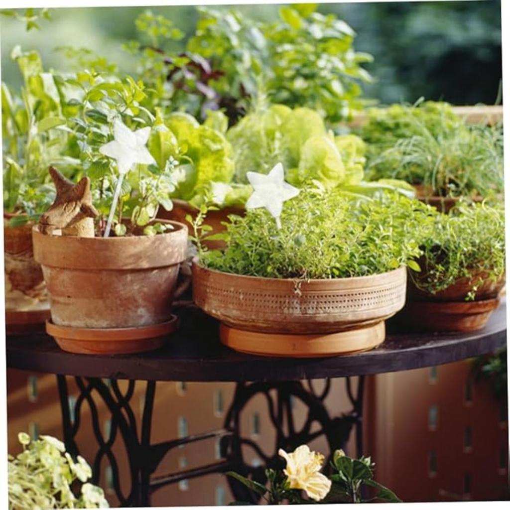 Plant Self Watering Globes Glass Water Bulbs for Planter Insert Self Watering Devices Automatic Plant Waterer Spikes for Indoor Outdoor Plants