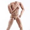 1:6 Scale Male Body Poseable 28 Joints Moveable 12" Action Figure