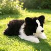 15/20/25CM Simulation Border Collie Plush Toys Cute Soft Pet Dog Puppy Animal Plushies Pillow Doll Kid Accompany Sleep Hug Gifts