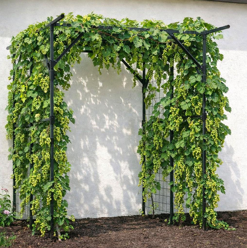 Pergola Prostokątna Dach 150X200X197Cm