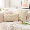 2Pack Valentines Day Pink Plushes Cushions Cover Decorative Pillow Case for Home Ambiances for Sofa Bed Decorations