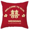 Modern Chinese Wedding Pillow Short Plush Double-sided Wedding Sofa Cushion Cover Wedding Room Red Festive Pillow