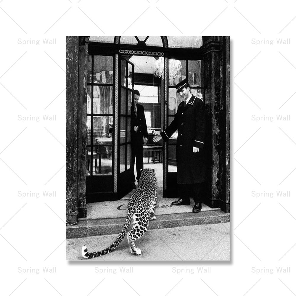 

Роскошный бренд Leopard Jewelry Shop Плакат Картина на холсте Настенное искусство Винтажная черно-белая фотография Картина Современная гостиная 21x30cm No Framed