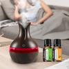 Compact USB Humidifier & Diffuser, 300ml, with 2 Oils, Ideal for Travel & Small Rooms