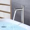 BEARLU LW020 304 Stainless Steel Single Cold Basin Faucet