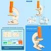 Science Microscope Kit For Kids Diy Physics Educational Toy Science Experiment Set For Children