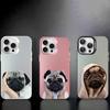 Pug Dog French Bulldog Phone Case For iPhone 16 15 14 13 12 11 Pro Max X XR XSMAX 8 7 Plus Matte Shockproof Back Cover