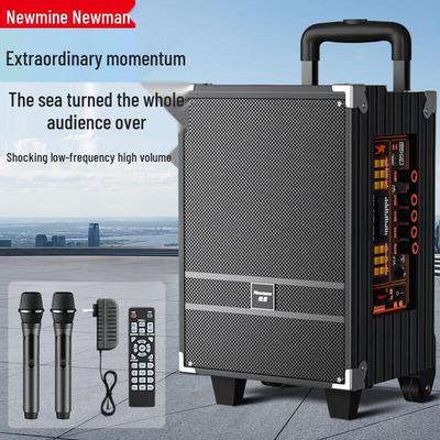 Boxă portabilă cu roți Bluetooth Newman N518 de 8 inch cu microfoane duble priză CN (adaptor inclus)