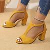 2025 New Simple and Fashionable Back Zipper Fishmouth Shoes Women's Summer Side Stiletto Roman Sandals Designer Sandals