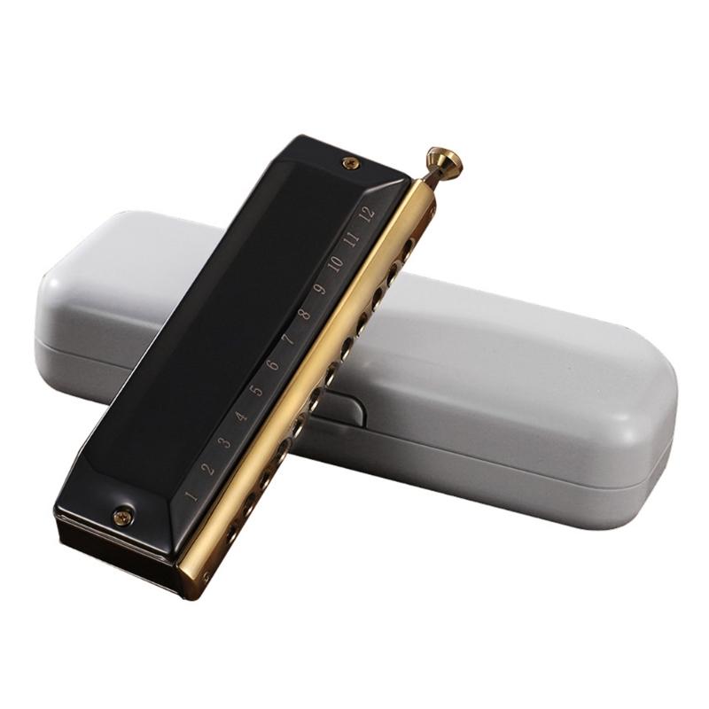 12 Holes Blues Harp Diatonic Harmonica 48 Tones Mouth Organ Harmonica For Adults